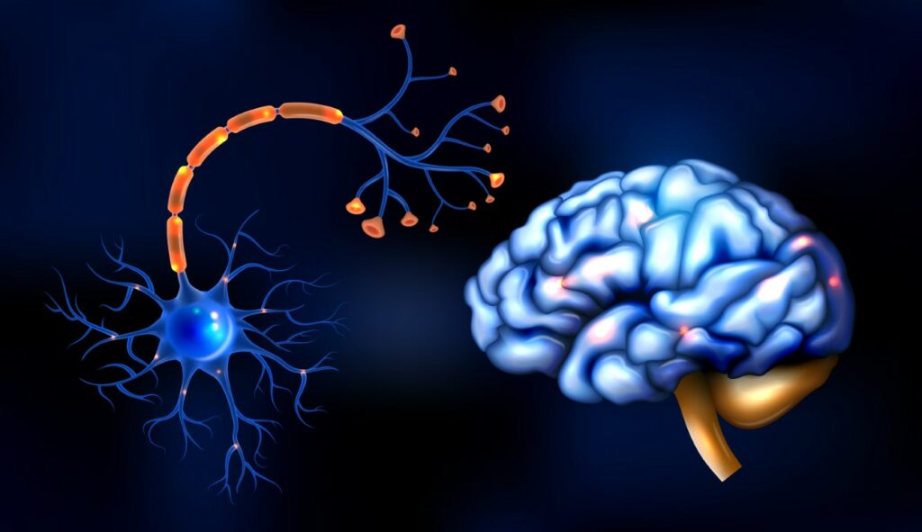 GBS Foundation-Kenya associated neuropathies information